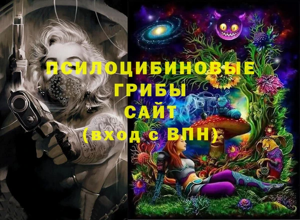 шишки Семилуки
