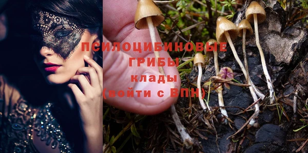 mix Арсеньев