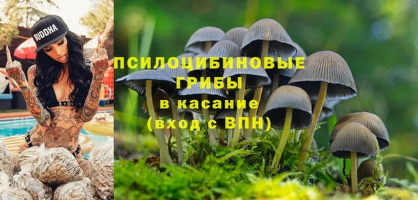mix Арсеньев