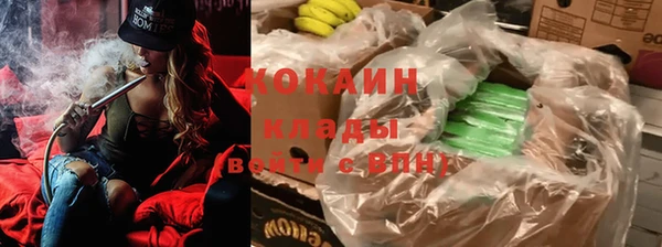 шишки Семилуки